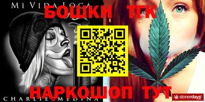 гашик Лесосибирск