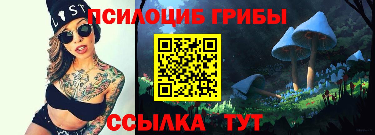Псилоцибиновые грибы Magic Shrooms  Вход с VPN  Чебаркуль  Псилоцибиновые грибы GOLDEN TEACHER 
